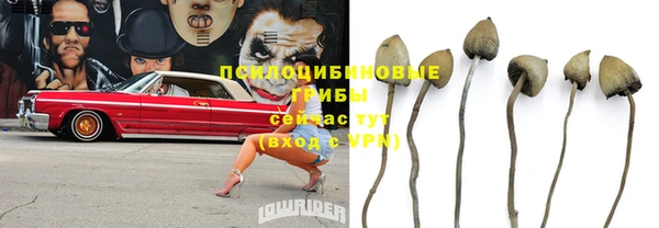 СК Богородицк